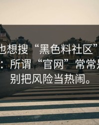如果你也想搜“黑色料社区”，先看完这段：所谓“官网”常常是假冒，别把风险当热闹。