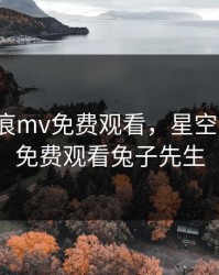 星空无痕mv免费观看，星空无痕mv免费观看兔子先生