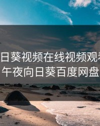 午夜向日葵视频在线视频观看视频，午夜向日葵百度网盘