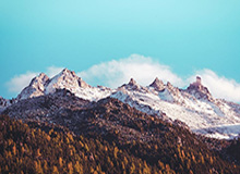 《战狼4》免费观看，战狼4免费观看在线播放完整版高清