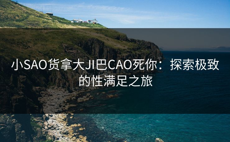 小SAO货拿大JI巴CAO死你：探索极致的性满足之旅