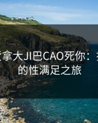 小SAO货拿大JI巴CAO死你：探索极致的性满足之旅