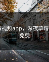 深夜草莓视频app，深夜草莓视频app免费