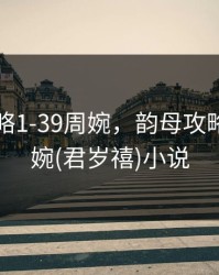 韵母攻略1-39周婉，韵母攻略1-39周婉(君岁禧)小说