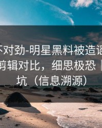 越看越不对劲-明星黑料被造谣了-最有争议的剪辑对比，细思极恐｜反诈避坑（信息溯源）