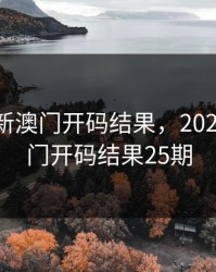 2024年新澳门开码结果，2024年新澳门开码结果25期