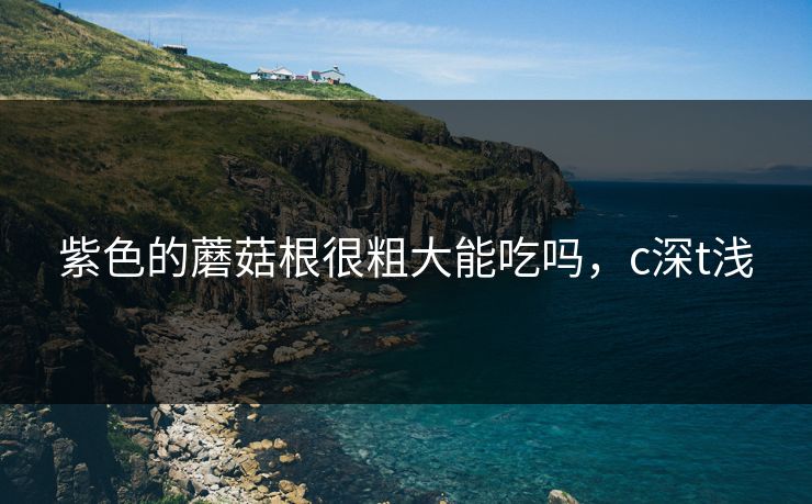 紫色的蘑菇根很粗大能吃吗，c深t浅