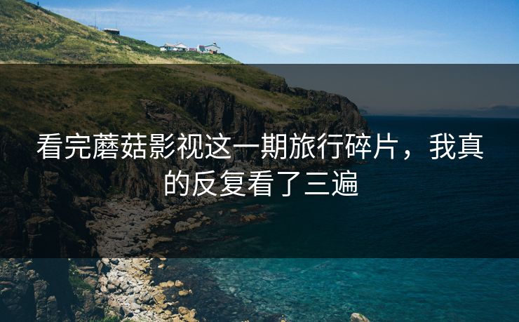 看完蘑菇影视这一期旅行碎片，我真的反复看了三遍