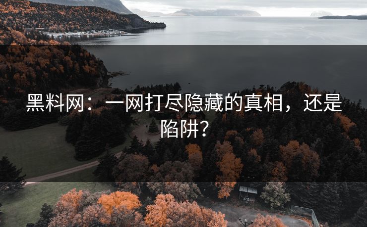 黑料网：一网打尽隐藏的真相，还是陷阱？